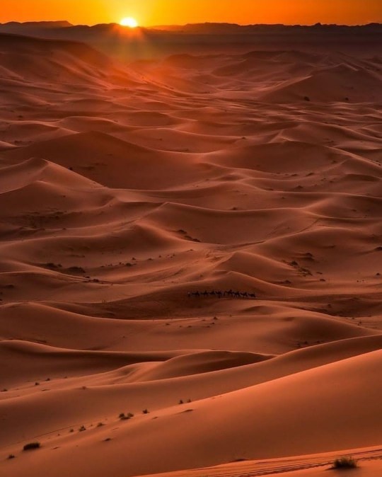 desierto merzouga
