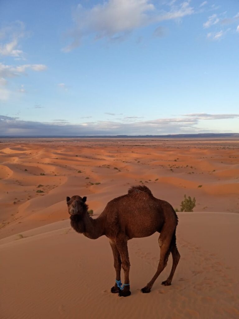 Tour de 3 Días desde Fez al Desierto de Merzouga