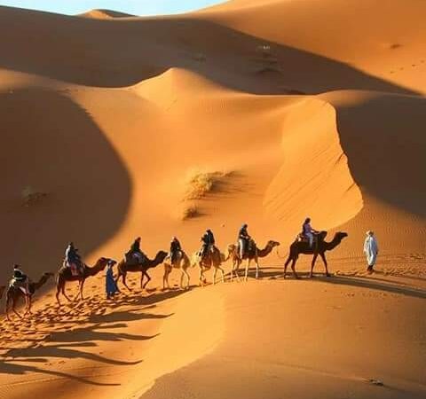 Excursion de 5 Días desde Fez a Marrakech por el Desierto de Merzouga