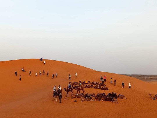 Lee más sobre el artículo Desierto de Merzouga